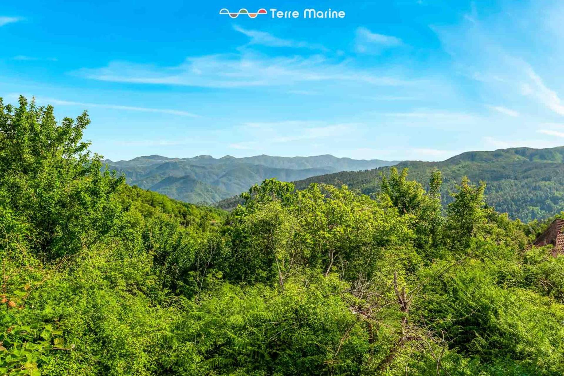 Villa Pina Riccò del Golfo di Spezia Exteriér fotografie